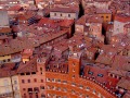 siena