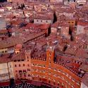 siena